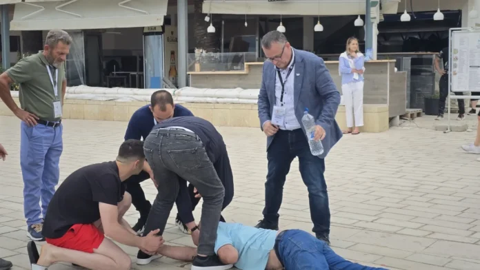 vasill Llajo ndihme komisionerit