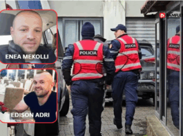 enea mekolli edison adri